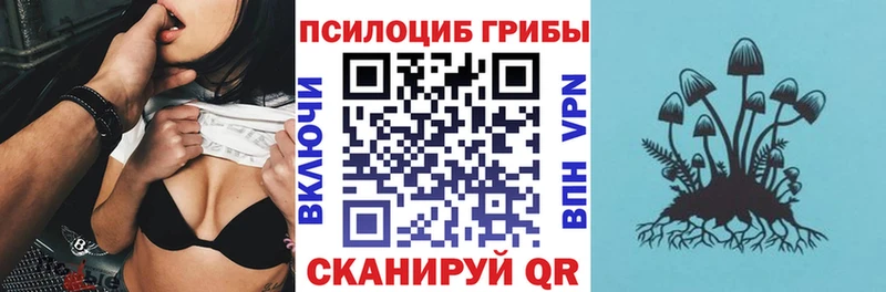 Купить где  Первоуральск  Псилоцибиновые грибы Cubensis